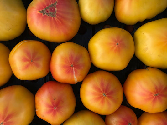 Tomatoes