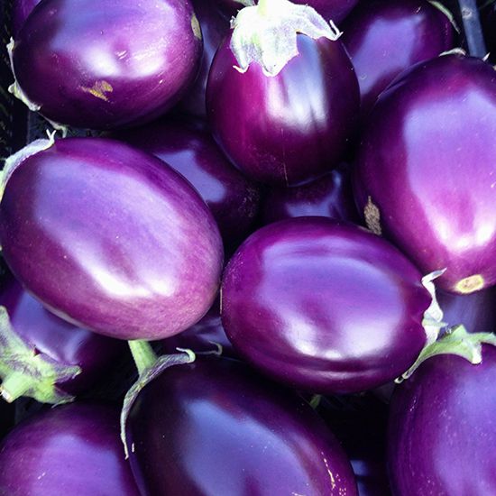 Eggplant