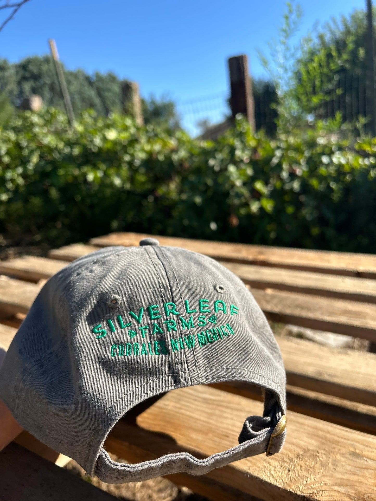 Chile Pepper Heart Embroidered Dad Hat