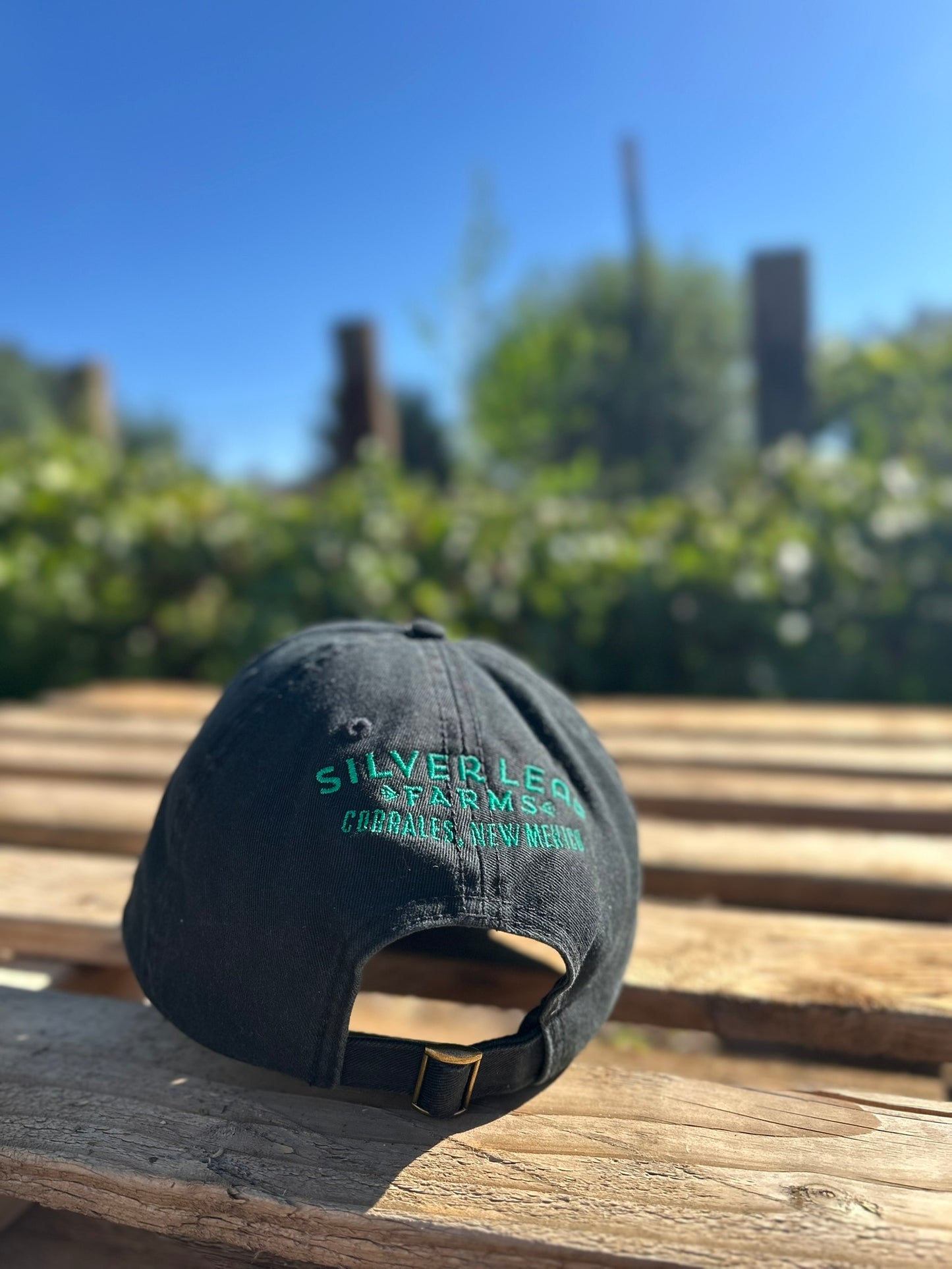 Chile Pepper Heart Embroidered Dad Hat
