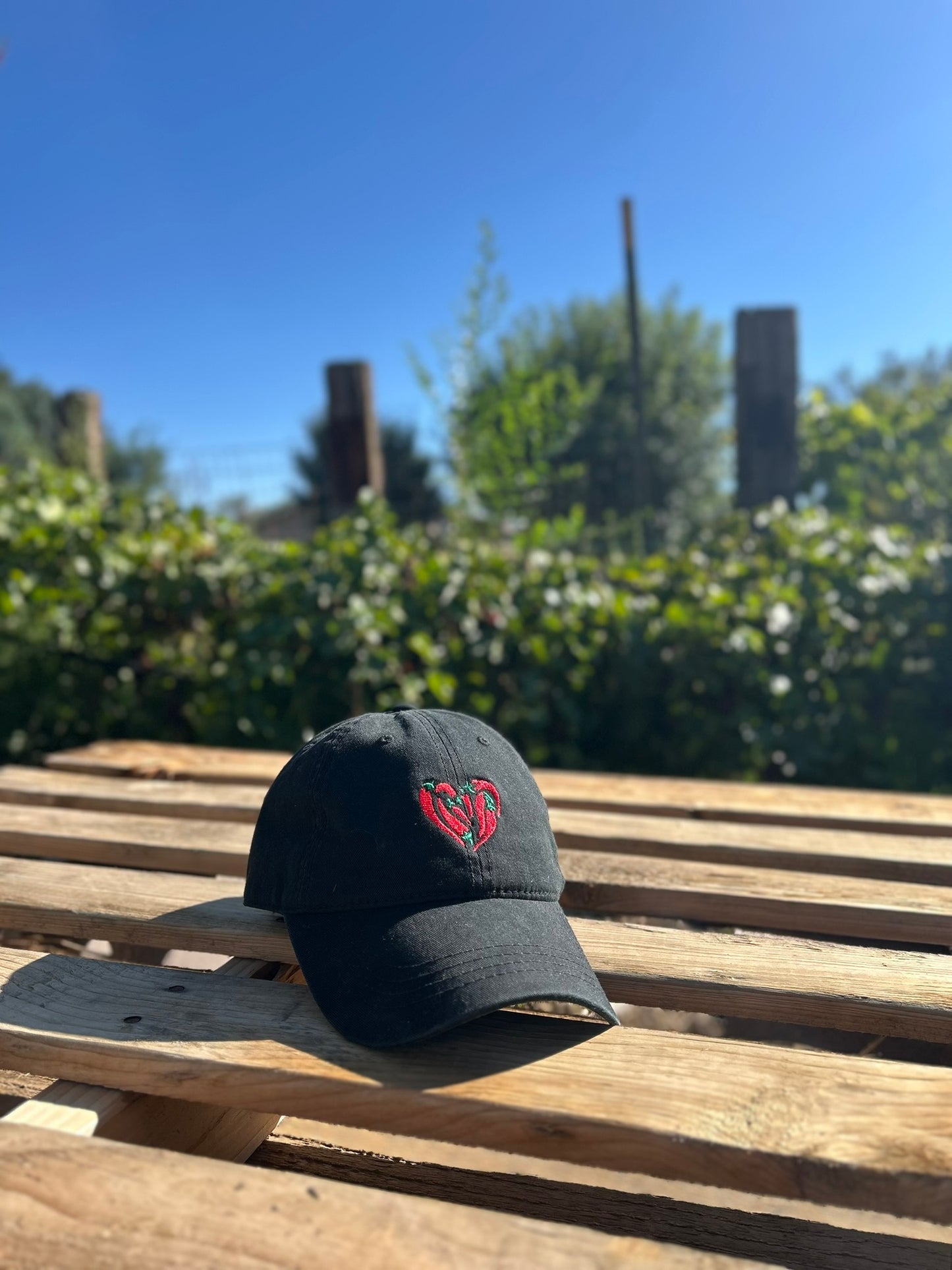 Chile Pepper Heart Embroidered Dad Hat
