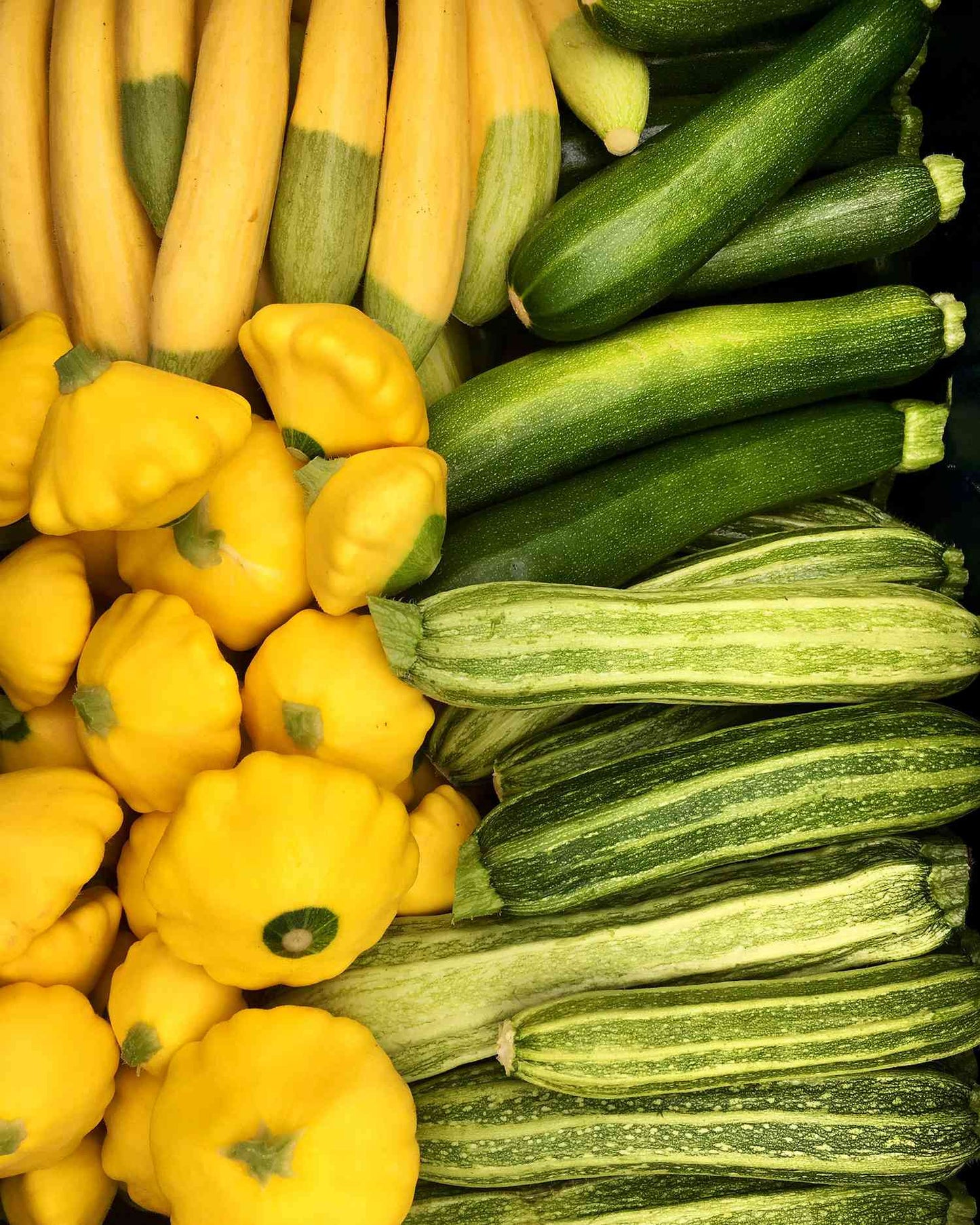Zucchini and Summer Squash